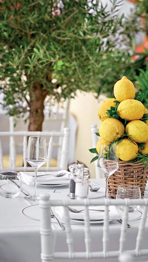 Lemons-848x480